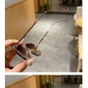 Daily casual sunglasses